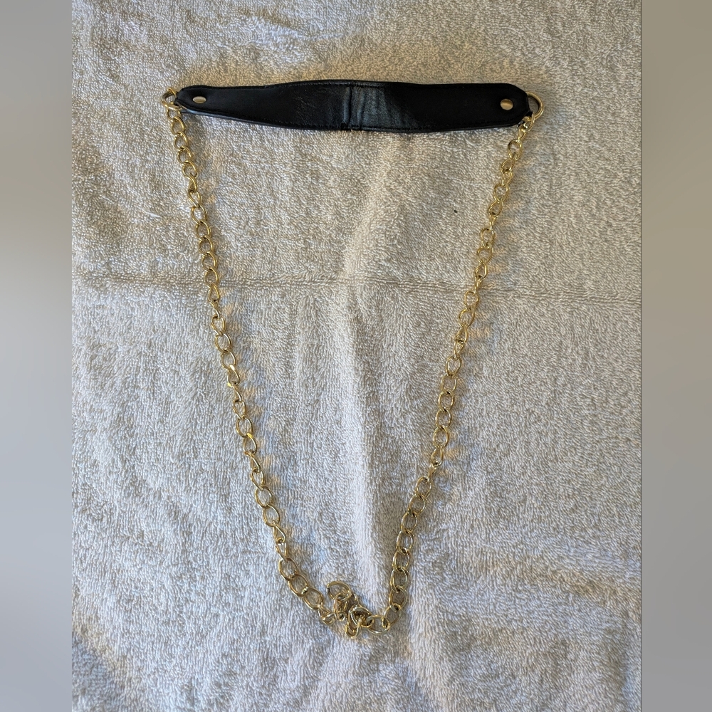 Black Leather and Gold Chain Belt.